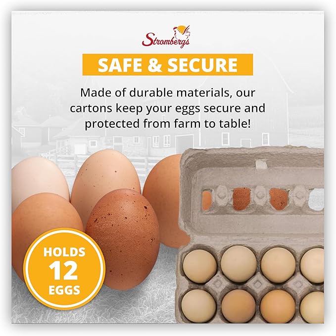 Stromberg's Fresh Grade A Jumbo Printed Egg Cartons, Biodegradable and Eco-Friendly, Made From Recycled Materials, With Educational Prints for Safe Handling Instructions and Nutrition Facts, 100 Pack