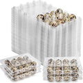 YOUEON 60 Pcs Clear Quail Egg Cartons, 12 Count Plastic Egg Trays, Small Egg Storage Holders with Lids, Stackable Bulk Egg Boxes for Quail, Pigeon, Pheasant, Display, Refrigerator Storage