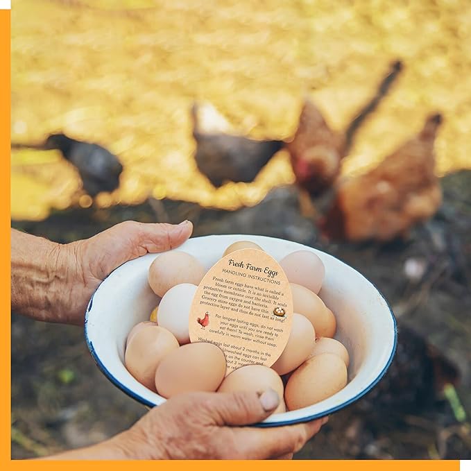 200 PCS Egg Handling Instruction Cards, Double-sided Printing Egg Carton Stamp Bulk Labels with Washed/Unwashed Fresh Eggs Care Accessories Card Label for Basket Farm Business Accessories (3.5 x 2.7”)