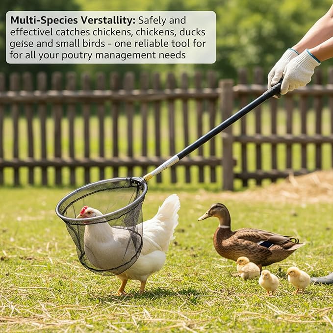 Chicken Net Adjustable Animal Net with Handle 16-60 Inch Telescoping Steel Pole with Folding Head for Catching Birds Poultry and Small Animals