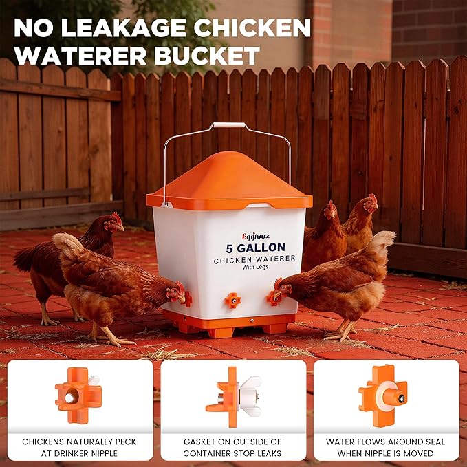 5 Gallons Chicken Waterer Bucket with Horizontal Nipples, Adjustable Legs and Anti-Roost Cone