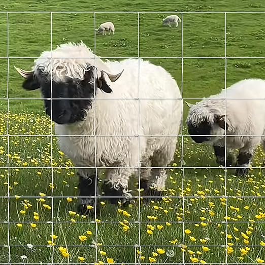 Heavy Duty Farm Fence 4ft X 100ft, 2.5mm Galvanized Woven Wire Fencing for Goat, Cattle, Deer, Hog, Livestock, Yard and Animal Protection