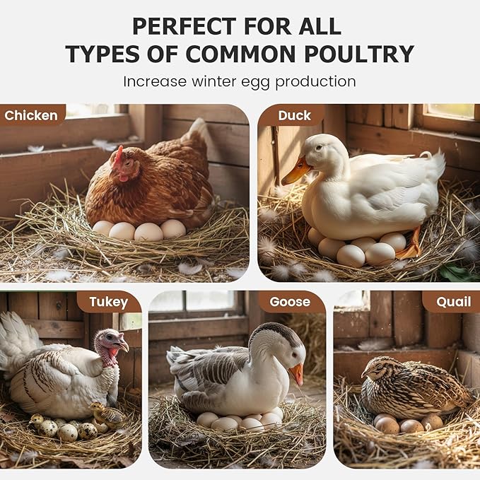 Automatic LED Daylight Extender, Chicken Coop Light with Timer and Easy to Program, Provides Additional Light for Hens and Enhances Egg Production