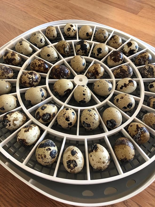 Generic 3D Printed Quail Egg Turner for Nurture Right 360 Incubator