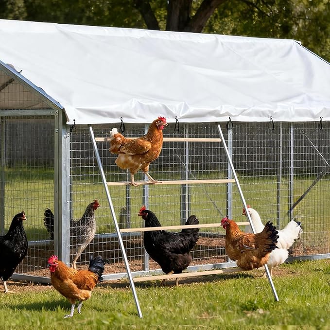 Large Chicken Roosting Bars, 55 Inch Chicken Perch for Coop with Metal Frame, Sturdy Roosting Ladder for Hens, Chicken Coop Accessories and Toys for Backyard Poultry, Easy to Clean
