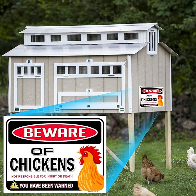 Bigtime Signs Beware of Chickens PVC 9"x12'' Decor Funny Warning Sign - Chicken Yard Decorations Chicken Coop Accessories - Chicken Gifts for Chicken Lovers - Chicken Coop Signs