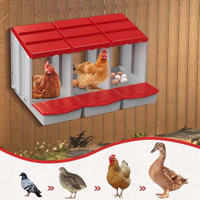 Chicken Nesting Boxes,3 Hole Nesting Box for Chicken Coop, Rolling Egg Collection and Protection Nesting Boxes