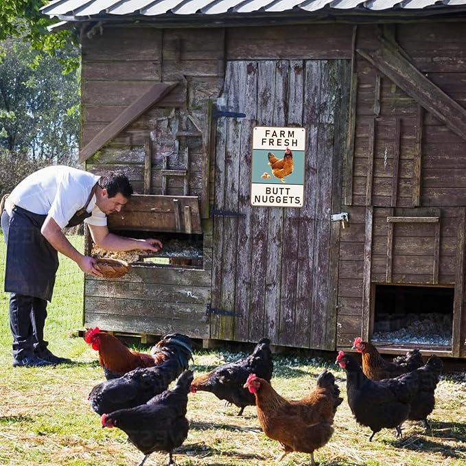 Dillweed Chicken Coop Sign, Funny Chicken Coop Metal Signs, Outdoor Chicken Decor, Personalized Tin Sign, Chicken Gifts, Chicken House Decor 8 x12 Inches
