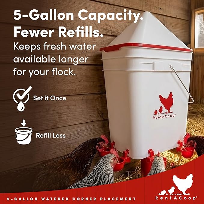 RentACoop 5 Gallon Chicken Waterer, BPA-Free Plastic Bucket Waterer Set with 4 Horizontal Nipples, Large Capacity Poultry Waterer - Corner Placement