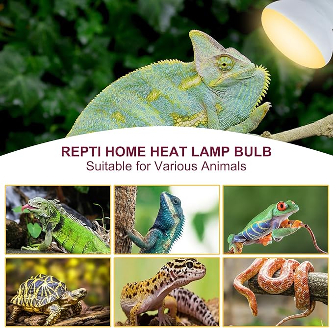150W Reptile Heat Lamp Bulb 2 Pack,Basking Spot Lamp Bulb for Reptiles & Amphibians，Reptile Daylight Heat Bulb for Bearded Dragon, Lizard, Turtle