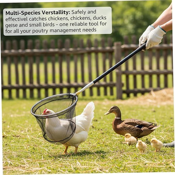 Chicken Net, Adjustable Animal Net with Handle 16-60 Inch Telescoping Steel Pole with Folding Head for Catching Birds, Poultry, and Small Animals Chicken, Butterfly, Fishing, Bird Catc