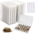 Quail Egg Cartons 90 Pieces, Quail Egg Cartons 24 Count Cheap Bulk, Clear Plastic Reusable Quail Egg Tray Container Holder for Family Quail Farm Refrigerator Storage, Market with Sticker Labels