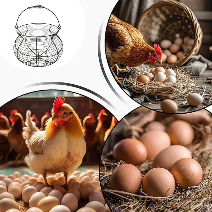 Wire Egg Gathering Basket - Farmhouse Metal Storage Holder, Vintage Chicken Coop Carrier with Wooden Handle Grip | Fresh Eggs Gatheringg Baskett for Kitchen Pantry Decor