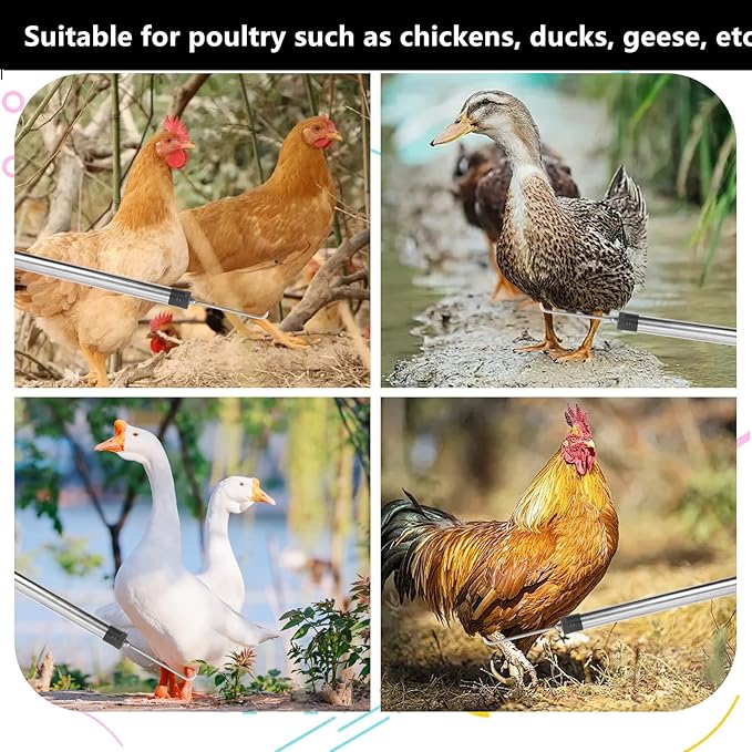 Chicken Net Catcher,74" Adjustable Extension Pole Chicken Hook Catcher Kit，The Animal Net Catcher Is Made Of Stainless Steel,Suitable For Catching Small Duck,Goose,Bird,Fish, Etc. （15.3 x 23.2" Net)