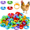 100pcs Chicken Leg Bands, 14-22mm Adjustable Poultry Tags, Durable Multi-Colored Hens Identification Leg Rings, Chicken Coop Accessories for Chickens, Chick, Ducks, Goose, Turkey, Birds