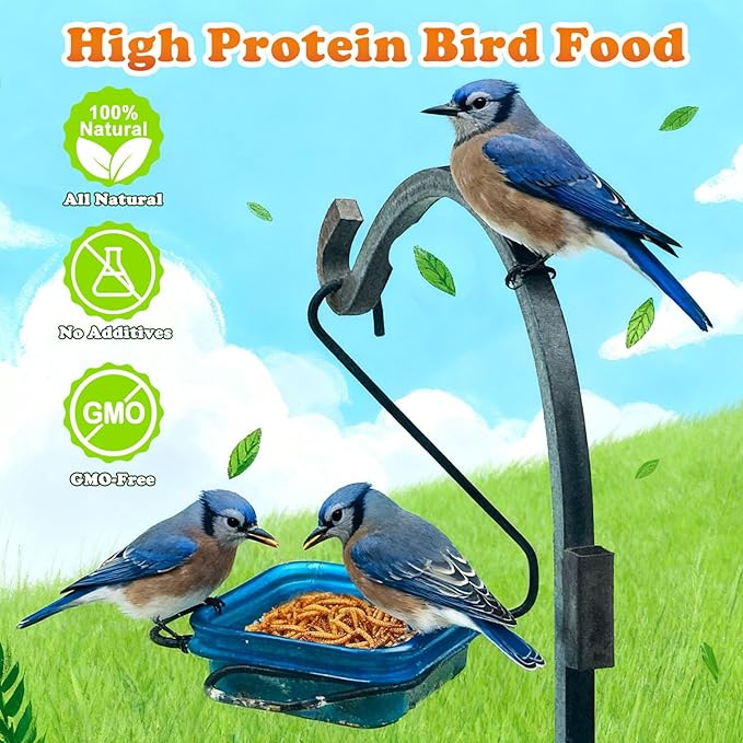 Amzey Dried Mealworms 5 LB, 100% Natural Meal Worms for Chicken & Birds, Organic Chicken Feed for Laying Hens, High Protein and Nutrition, Zipped Bag