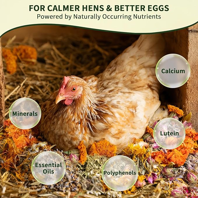 Chicken Nesting Herbs 64 oz – 11 Natural Dried Herb Blend with Marigold for Chicken Coop & Roost Refresh, Nesting Box & Dust Bath, Supports Natural Nesting Behavior
