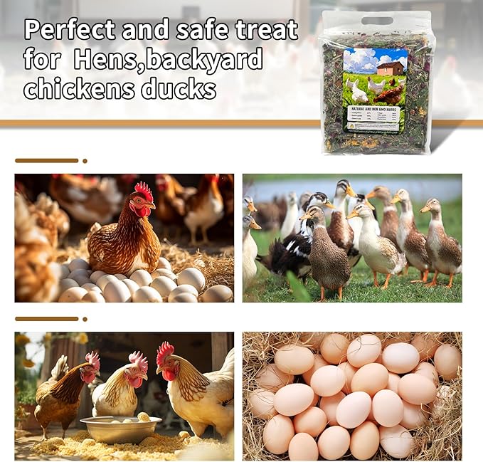 18oz Chicken Nesting Herbs and Herb Supplement for Chickens Natural Non GMO Nesting Box Herbs to Improve Egg Production and Hen Wellness Fresh Coop Odor Control and Coop Refresher for Chickens