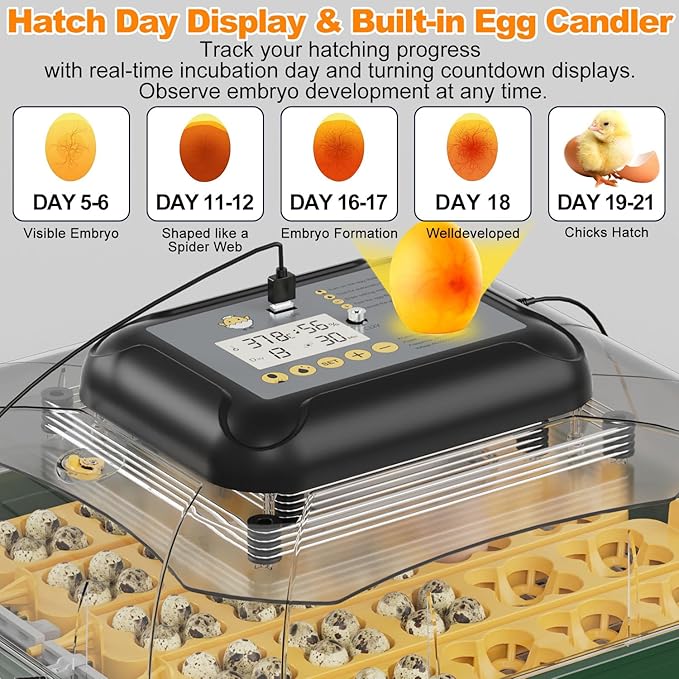 25 Egg Incubator for Hatching Eggs with Automatic Egg Turning, Temperature & Humidity Display, Hatch Day Countdown, Auto Water Refilling System, Egg Candler, Multifunctional Egg Tray for Chicken