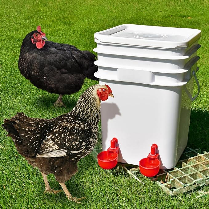 Chicken Waterer Cups | Automatic Large Chicken Water Feeder for Chicks, Turkey, Ducks, Goose, Bunny and Birds | Poultry Waterer - BPA Free & Leak Proof Design (24 Pack)