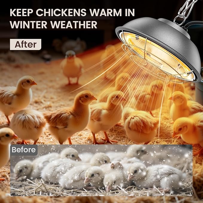 350 Watt Heat Lamp for Chickens - Chtoocy Chicken Coop Heater with Carbon Fiber Bulb, 5.2FT Thickened Power Cord & Chicken Heat Lamp with 2 Temperature Adjustable (175/350W) for Chicks, Ducks and Pets