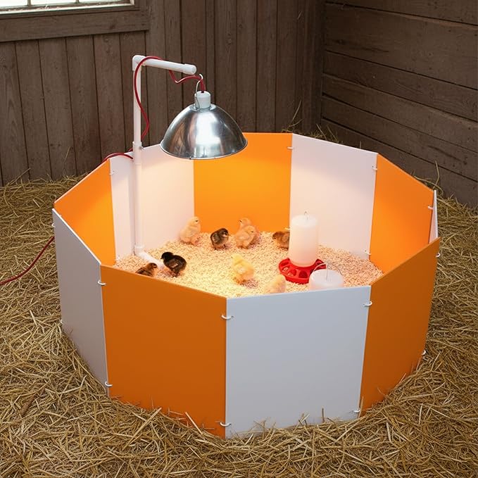 Farm Innovators 3700 Baby Chick Corral Starter Home Coop Kit with 10 Plastic Panels and Adjustable Brooder Lamp Hanger for Up To 15 Chicks