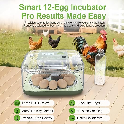 Incubators for Hatching Eggs, 12 Eggs Capacity, Egg Incubator with Automatic Egg Turning and Humidity Control for All Poultry - Chickens, Ducks, Quails, Turkeys, and More (Green)