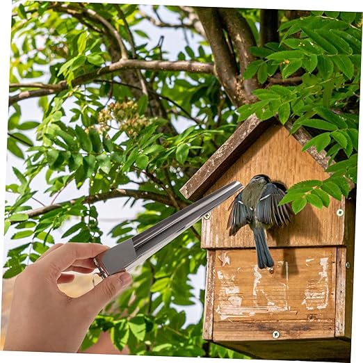 Homoyoyo Stainless Steel Feeder Scoop for Bird Seed Parrot Feeding Food Scoop Pet Feeder Bird House
