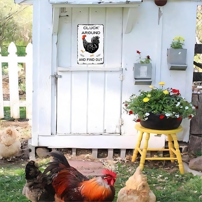 Funny Chicken Gifts Chicken Cluck Around and Find Out Tin Sign for Home Chicken Coop Farm Fence Kitchen Bathroom Wall Decor 8x12 Inch