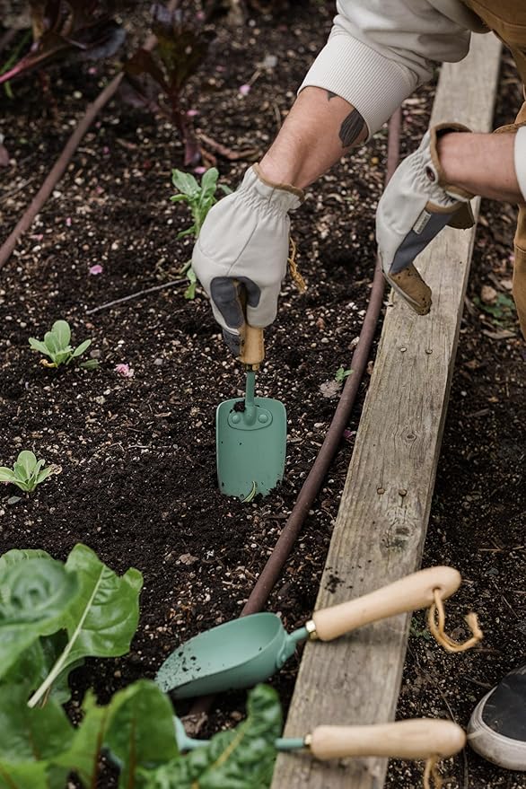 Barebones Garden Scoop - Garden Spoon - Stainless Steel Small Hand Shovel for Transplanting, Digging, and Planting - Great Home Gardening Hand Tools (Ash/Mint)