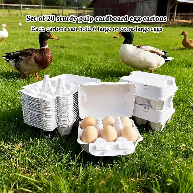 Farm Fresh Egg Cartons, White, 6-Cavity Jumbo Size for Duck and Turkey Eggs, Blank Top for Custom Labels, Commercial and Home Use (20)