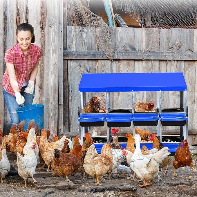 Chicken Nesting Box, 8 Compartment Roll Away Design for High-Volume Egg Collection and Easy Wall Mounting with Metal Legs
