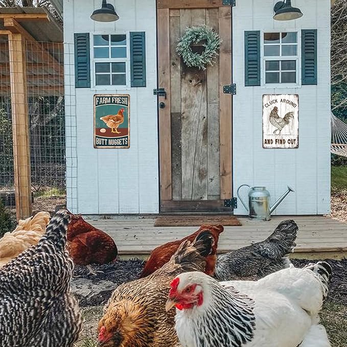 Chicken Coop Signs, Cluck Around and Find Out Sign Chicken Metal Tin Signs for Farmhouse Kitchen Home Wall Art Decor Farm Sign Funny Chickens Gifts for Women Outdoor Garden Accessories 8x12 Inch