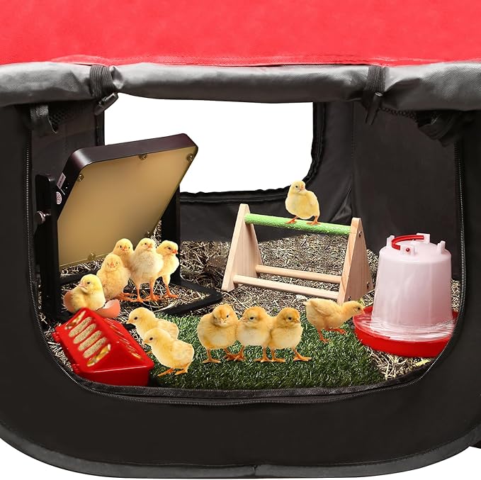 Brooder Box for Chick Starter Kit - 2026 Upgrade Dual Door Chicken Brooder Pen/Playpen/Tent with 10*10 in Brooder Heating Plate,Nesting Pad,Chicks Feeder＆Waterer,Chick Perch Up to 15 Chicks,Duck,Quail