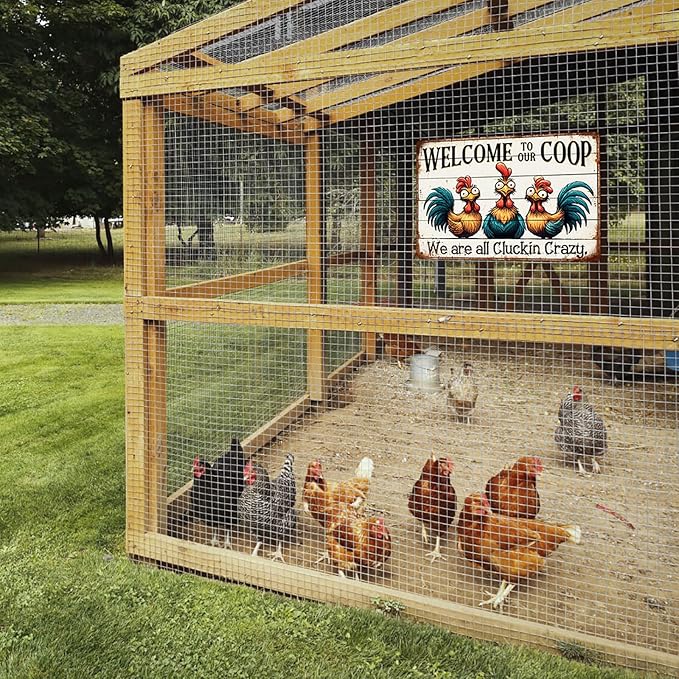 Welcome to Our Coop Sign We Are All Cluckin Crazy Metal Tin Sign Farmhouse Kitchen Coop Decor Funny Novelty Chicken Coop Accessories Farm Wall Decor 8x12 Inch
