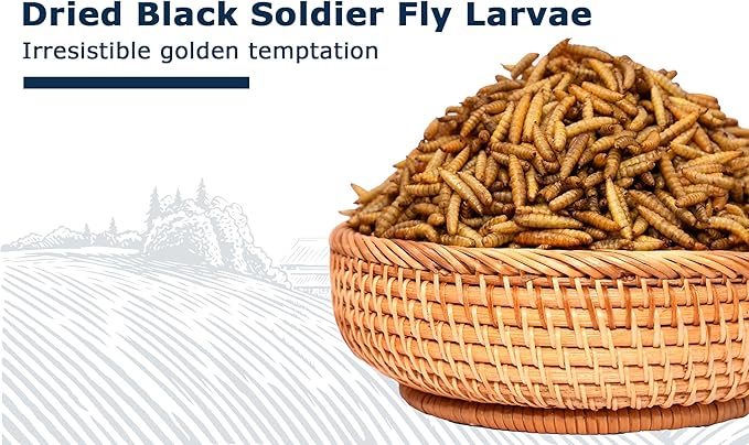 Chicken Feed Dried Black Soldier Fly Larvae, 10LB Natural Poultry Treat, 85X Calcium vs Mealworms for Laying & Molting Hens, Nutrient-Rich Feed for Ducks & Wild Birds, Reptiles
