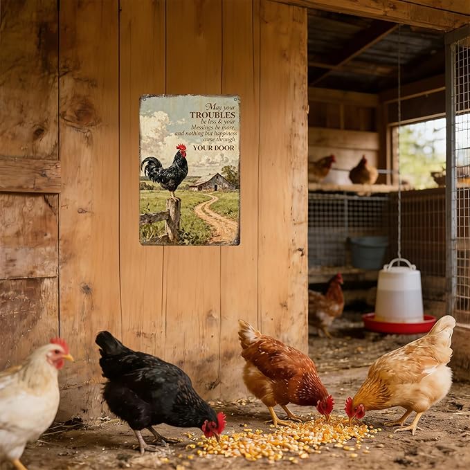 Funny Chicken Signs Farmhouse Rooster Crowing Farm Fence Aluminium Metal Chicken Signs Decor Home Farm Wall Decor for Coop Poster 12x8 Inch