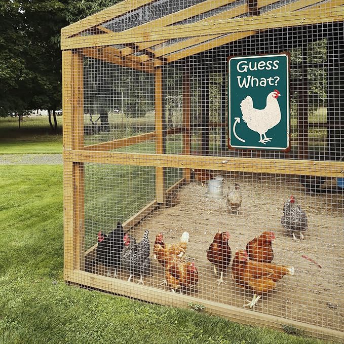 Guess What Funny Chicken Coop Tin Sign, Chicken Butt Poster, Farmhouse Kitchen Wall Art, Coop Accessories, Home Decor 8x12 Inch