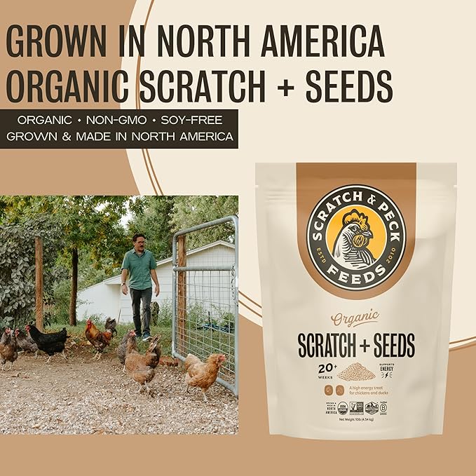 Scratch and Peck Scratch + Seeds Chicken and Duck Treat - 10 lbs Bag - 11% Protein, Certified Organic and Non-GMO Project Verified Chicken Food