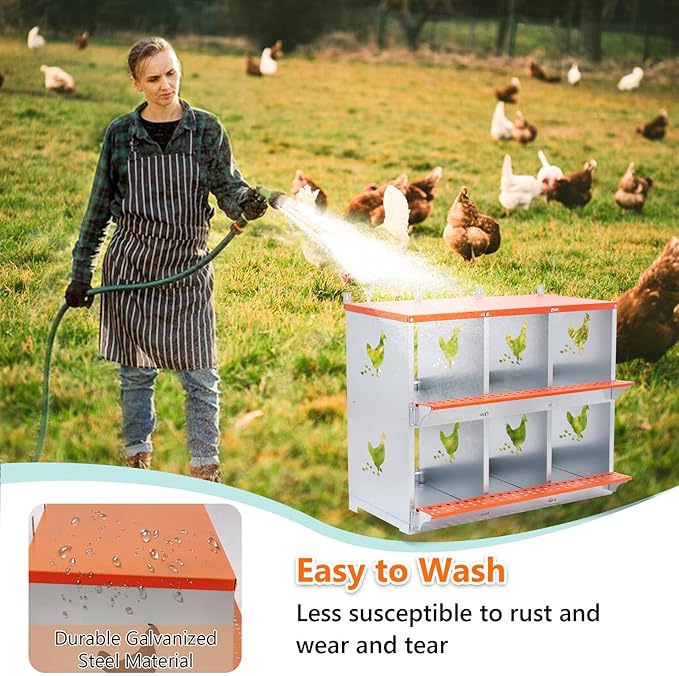 Chicken Nesting Box for Laying Eggs - 6 Room Chicken Laying Boxes, Nesting Boxes for Chickens, Heavy Duty Metal Chicken Coop (31.8" L x 17" W x 25" H)