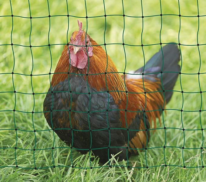 Kerbl 292208 Geflügelnetz 50 m, 112 cm ohne Strom, grün