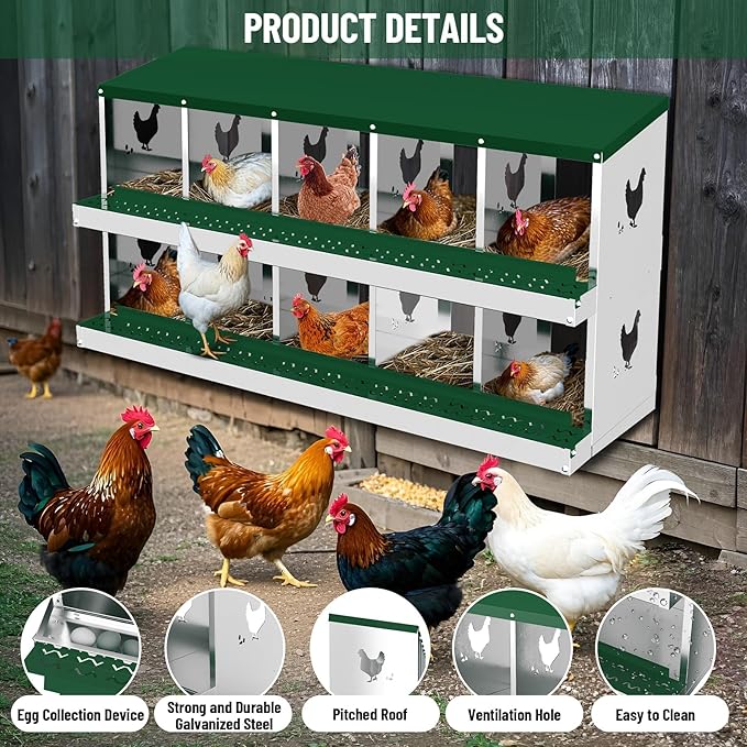 Chicken Nesting Boxes,10 Compartments Galvanized Steel Metal Laying Boxes,Pull-Out Egg Box Easy Egg Collection & Clean,Wall Mount Suitable for Farm Chicken House,Green