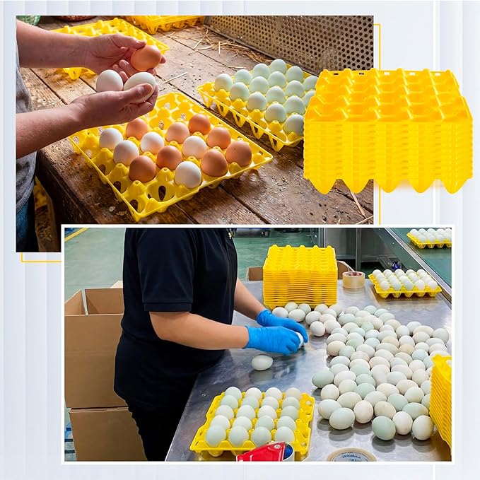 10 Pack 20 Plastic Egg Trays Stackable Duck Eggs Crates Multiple Egg Flats Holder Cartons Storing, Sorting, and Shipping for Duck Goose Turkey Peafowl
