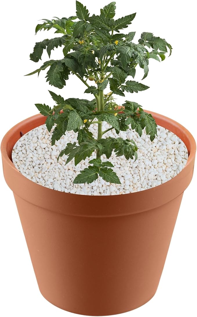 Soils, Mulches & Planting Media (Perlite, 4 Quarts), Red