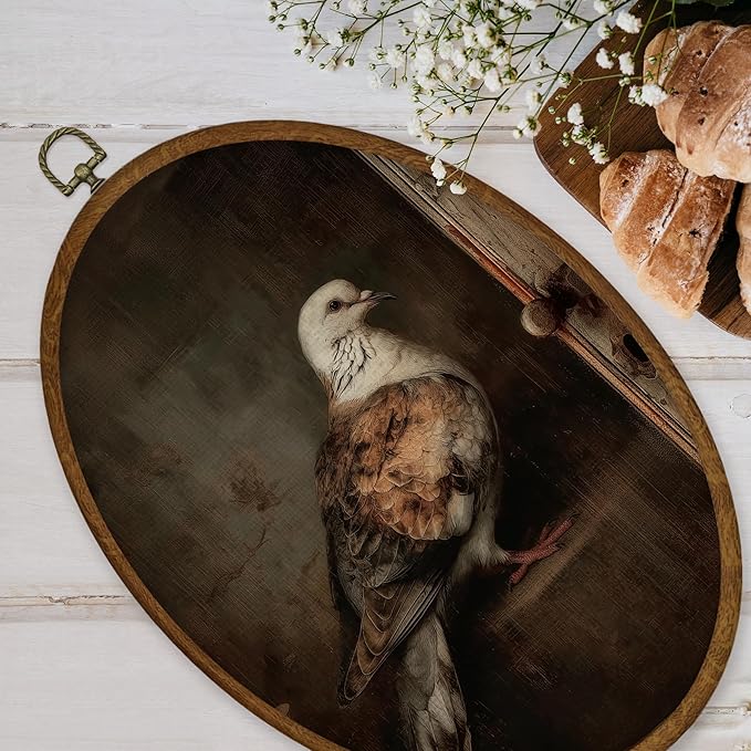 WULQYING Vintage Pigeon Wall Art Decor, Rustic Farmhouse Animal Moody Dark Academia Oval Framed Canvas Art Prints, Retro Cottagecore Wall Hanging Decor for Home Bedroom Living Room, 8.6x11.4 Inches