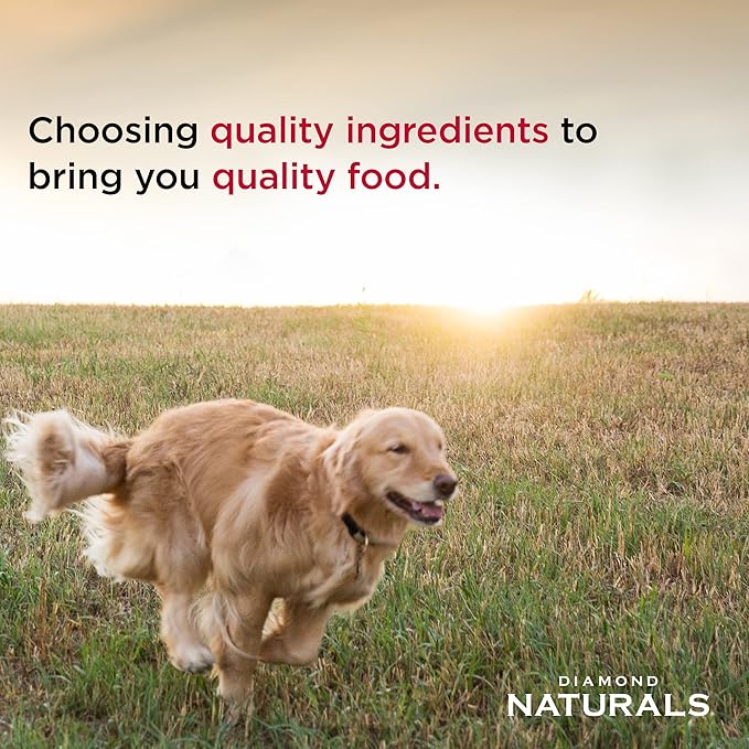 Diamond Naturals Light Dry Dog Food Formula with Quality Lean Protein, Probiotics and Essential Nutrients