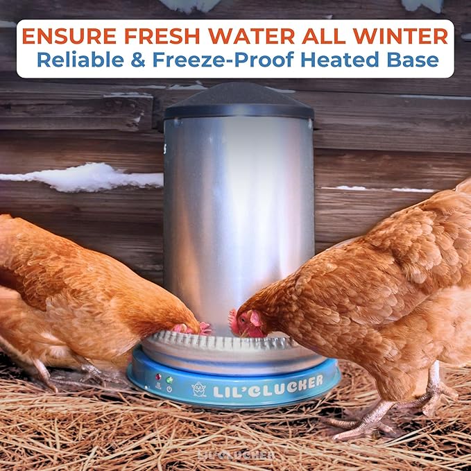 Lil'Clucker Heated Base for Chicken Waterer – Automatic Metal Freeze Proof Heated Chicken Waterer with Heater & LED – Poultry Heated Waterer for Winter (Blue, 11 Inch)