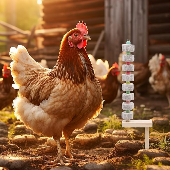 2 Pack Chicken Toys - Chicken Coop Accessories with Calcium Stone & Wood Stake - Enrichment Toys for Hens, Ducks, Geese, Turkeys, Poultry