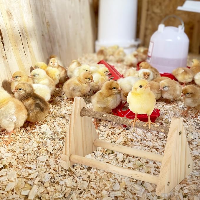 2-in-1 Chick Perch & Ramp Trainer Set, Wooden Chicken Roost Bar & Stand for Brooder Coop, Baby Chicken Supplies Toys for Chicks Ducks Quails and Small Animals