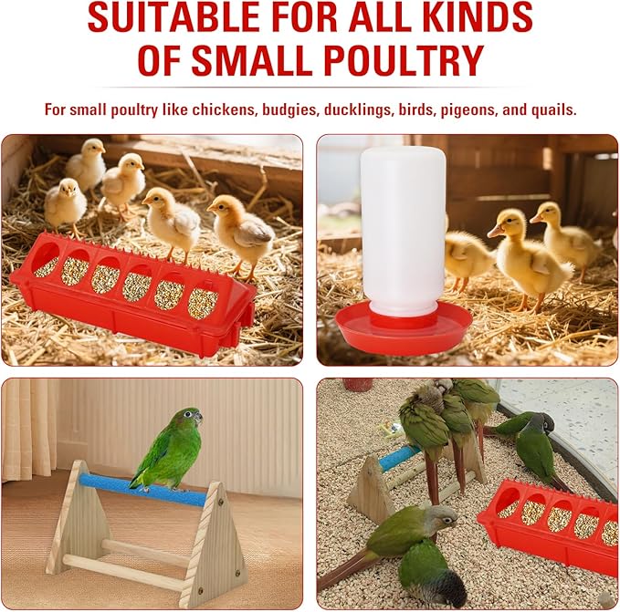 Chick Feeder and Waterer Kit with Mini Perch Chick Starter Kit for Small Poultry Ducks/Quail, Coop Brooder Feeding Supplies